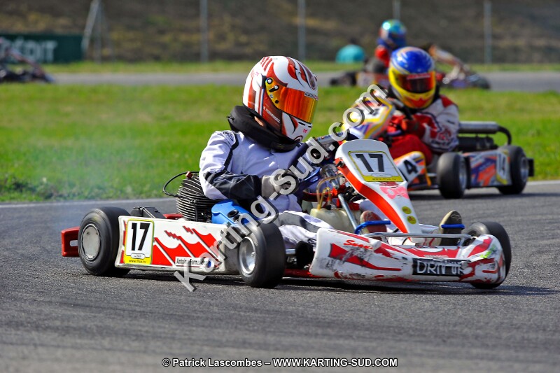 DSC_ (766).jpg